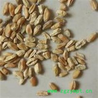 浮小麦 浮小麦净货 一分价一分货 产地 山东省 无霉变 无虫蛀 供应各种中药材 冷背货 矿石等图4