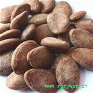 瓜蒌籽 单边瓜蒌子选货 新货 无虫蛀 供应各种中药材 产地 河北省图2