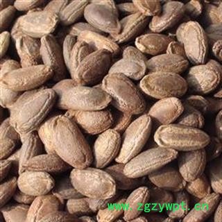 瓜蒌籽 单边瓜蒌子选货 新货 无虫蛀 供应各种中药材 产地 河北省图3