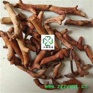 骨碎补 毛姜 炒骨碎补统个 新货 颜色好 纯干 产地 广西壮族自治区图2