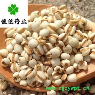 薏苡仁 选 小粒薏米仁 硫磺 食用级薏米 供应各种中药材 产地 贵州省图3