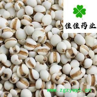 薏苡仁 选 小粒薏米仁 硫磺 食用级薏米 供应各种中药材 产地 贵州省图2
