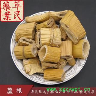 草民甄选芦根 白洋淀大苇根 精选肉厚 无硫选片 专业批发量大从优图3