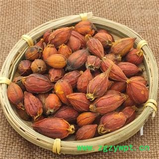 栀子 栀子统个 产地 福建省 新货 量多从优图2