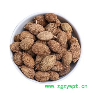 小郭道地药材正宗西砂仁,天然无硫砂仁,砂仁米,带壳砂仁,产地直销批发价格图4