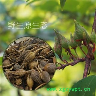 秦岭盛达中药材深山野生连翘 贯叶连翘 正品中药材 连翘茶500g图3