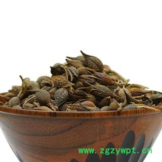 秦岭盛达中药材深山野生连翘 贯叶连翘 正品中药材 连翘茶500g图4