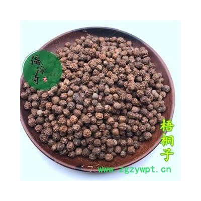 梧桐子 瓢儿果 桐麻豌 统 产地 广西壮族自治区