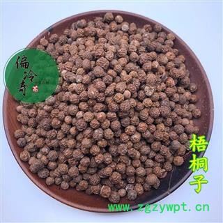 梧桐子 瓢儿果 桐麻豌 统 产地 广西壮族自治区图3