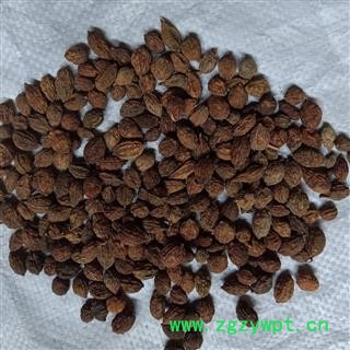 益智仁 益智统货 产地 海南省 小影全品类中药材店铺图2