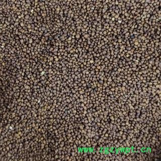 苏子 紫苏子净货 产地 河北省 小影全品类中药材店铺图3