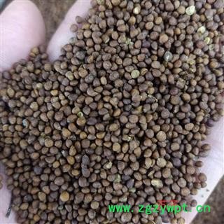 苏子 紫苏子净货 产地 河北省 小影全品类中药材店铺图2