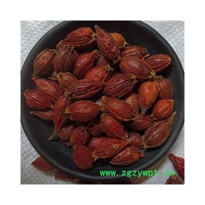 栀子 江西栀子统个 产地 江西省 小影全品类中药材店铺