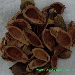 大腹皮 大腹毛统货 产地 云南省图3