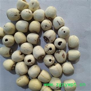 白莲子 湖南湖北空心磨皮白莲子98货无虫蛀货物匀称 产地 湖南省图3