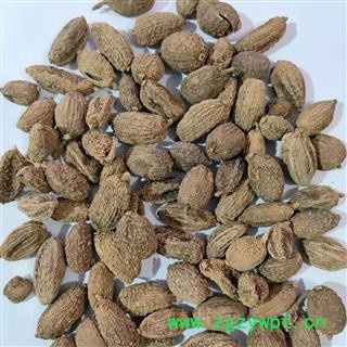 新到进口长果带壳砂仁，果实饱满货干无硫磺干净无杂质，实物拍摄图2