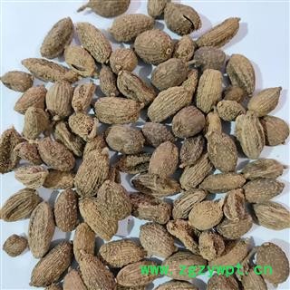 新到进口长果带壳砂仁，果实饱满货干无硫磺干净无杂质，实物拍摄图4