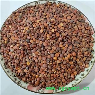 酸枣仁 本新到国产枣仁酸枣仁98货货物干包真无假 产地 河北省图4