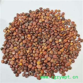 酸枣仁 本新到国产枣仁酸枣仁98货货物干包真无假 产地 河北省图3