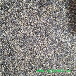 茺蔚子 产地直销茺蔚子过筛货，干净无杂 产地 山东省图3