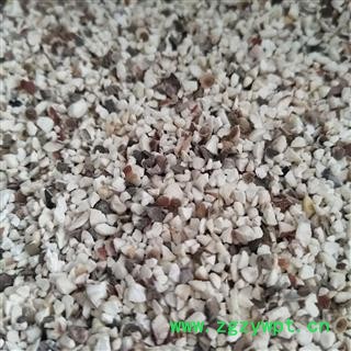 芡实 芡实碎米 产地 广东省图2