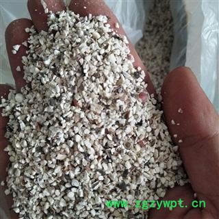 芡实 芡实碎米 产地 广东省图3