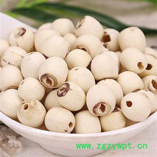 【去芯白莲子】【润泽中药】中药材批发供应 规格齐全 量大从优图3