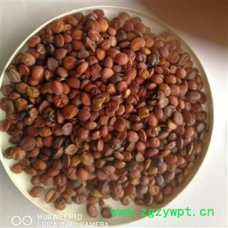 酸枣仁 酸枣仁98货 产地 山东省济宁市汶上县图2