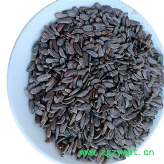 【牛子牛蒡子好统】【润泽中药】中药材批发规格 规格齐全 量大从优图3