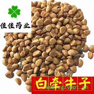 牵牛子 牵牛子白丑好统货 黄丑 二丑 产地直销供应大货 产地 山东省图2