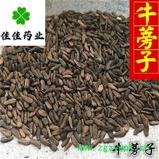 牛蒡子 川牛蒡子净货 选货大力子 无霉变 无虫蛀 供应各种中药材 产地 四川省图2