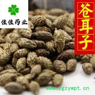 苍耳子 苍耳子中期黄绿色选货 产地 山东省 颜色好新货 农户收购图3
