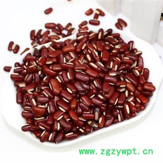 正品赤小豆 长粒 赤豆（红小豆）选货 供应各种中药材 冷背货 矿石等 产地 山东省图2