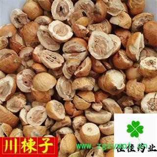 川楝子 选装 生川楝子 另有炒川楝子 发货前过筛 产地 四川省图4