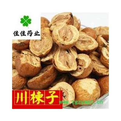 川楝子 选装 生川楝子 另有炒川楝子 发货前过筛 产地 四川省