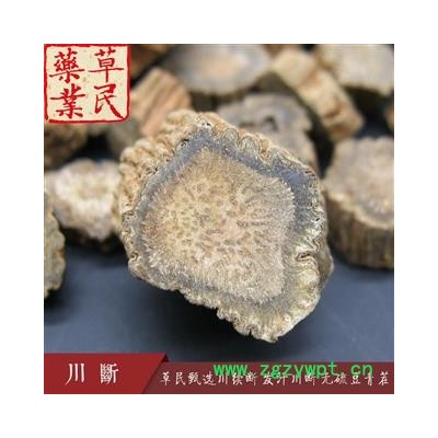 草民甄选川续断 发汗川断 无硫豆青茬 六汗选片 专业批发量大从优
