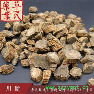 草民甄选川续断 发汗川断 无硫豆青茬 六汗选片 专业批发量大从优图3