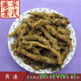 草民甄选雅连 道地川黄连 单支连新货 颜色好 专业批发量大从优图2