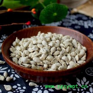 橘核 橘子核 桔子核 桔核 正品新货 颜色好纯干 无虫蛀图2