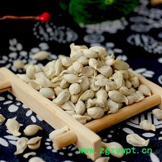 橘核 橘子核 桔子核 桔核 正品新货 颜色好纯干 无虫蛀图3