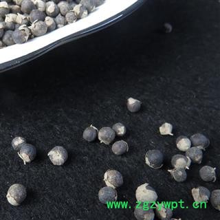 蔓荆子 统货 产地 重庆市县铜梁县图3