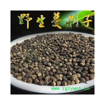 蔓荆子 统货 产地 重庆市县铜梁县