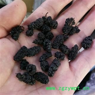 食用级  桑椹/桑葚子  手摘果  产地 四川图3