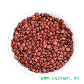 枣仁  酸枣仁 酸枣仁饱满精选货 产地 河南省图4