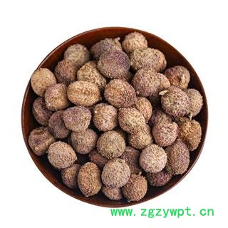 小郭道地药材正品砂仁天然阳春砂仁,优质无硫广东砂仁图4