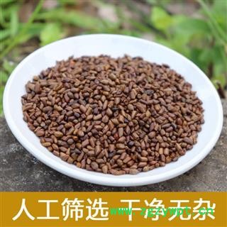 决明子泡茶 野生决明子500g 炒决明子儿童沙滩玩具决明子新货无硫图2