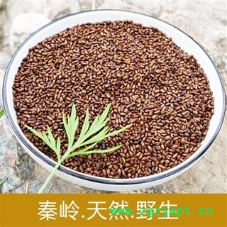 决明子泡茶 野生决明子500g 炒决明子儿童沙滩玩具决明子新货无硫图3