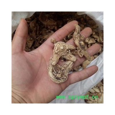 白芨 白及大选个 产地 云南省