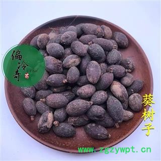 葵树子 统货 产地 广西壮族自治区 买家图2