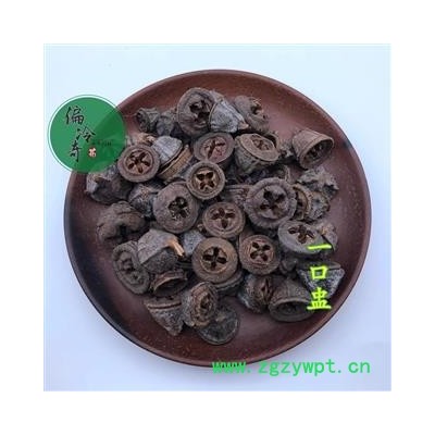 一口钟 桉树果统货 产地 广西壮族自治区 扣子七 胜利果